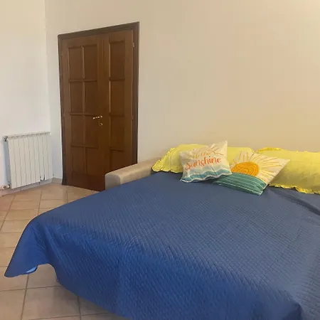 Sunshine Sanfatucchio