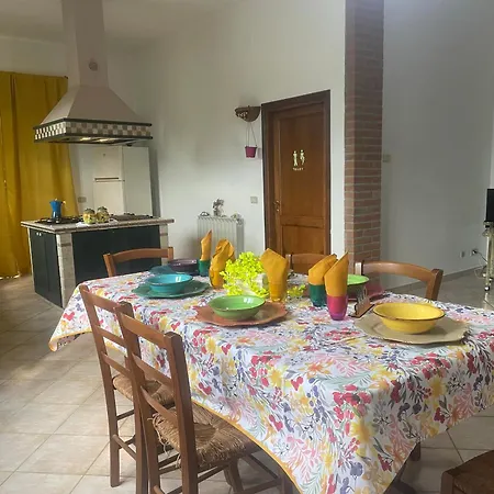 Sunshine Guest house *