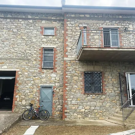 Sunshine Sanfatucchio