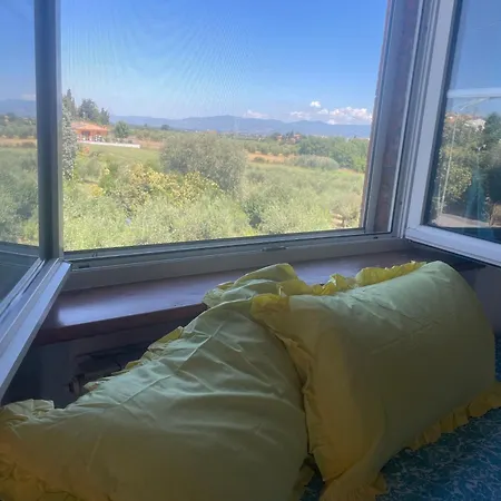 Sunshine Guest house