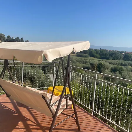 Sunshine Sanfatucchio