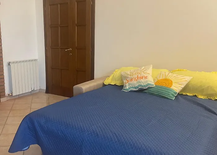 Sunshine Sanfatucchio