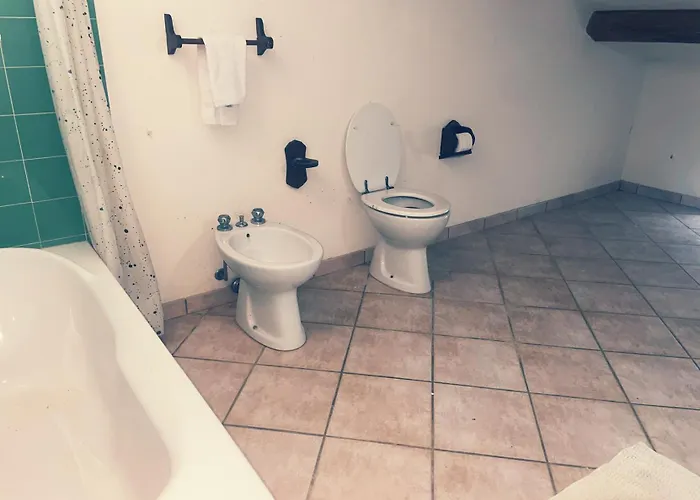 Sunshine Sanfatucchio