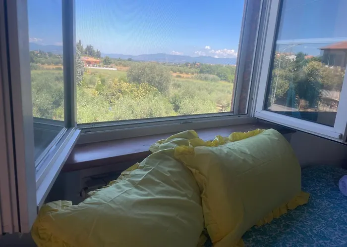 Sunshine Guest house